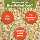 True Elements Rolled Oats 1.2 Kg - Diet Food | 100% Wholegrain Oats | Oats For Weight Management | High Fibre Breakfast | Rich I
