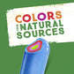 Popsicle JOLLY RANCHER Ice Pops 18 Count Candy Flavor Ice Pop For a Frozen Dessert Frozen Ice Pops With Only 35 Calories 29.7 oz