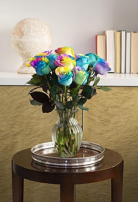 KaBloom PRIME NEXT DAY DELIVERY - Fall Collection - Beautiful Rainbow Rose Bouquet - 12 Roses and Greens. Gift for Birthday  Sympathy  Anniversary  Thank You  Valentine  Mothers Day Fresh Flowers