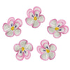 O'Creme Pansy Royal Icing Sugar Flower 1-1/4 Inch - for Cake Decorating - Decorations for Cakes, Cupcake Toppers - Birthday, Wed
