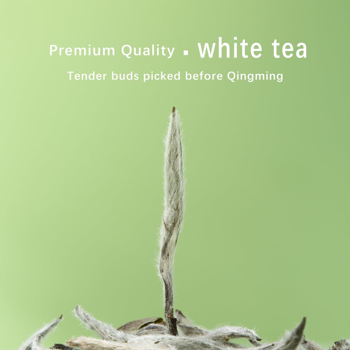 BAMA TEA Premium Silver Needle White Tea Loose Leaf 50g - Bai Hao Yin Zhen - 1.76oz