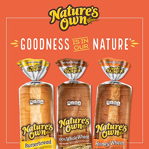 Natures Own 100% Whole Wheat  Whole Wheat Bread  20 oz Loaf
