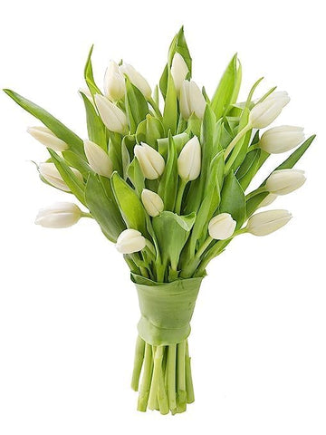 KaBloom Flowers - Bloomia collection - 15 White Tulips Without Vase - Gift for Birthday, Sympathy, Anniversary, Get Well, Thank 