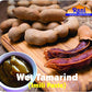 Rani Tamarind, Wet Seedless Block/Slab (Imli) 7Oz (200G) ~ All Natural | No Added Sugar | Vegan | Gluten Free | Non-Gmo | Indian Origin