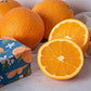 Sympathy Gift Fruit Basket Of Fresh Fruits, Cheese, Meat, Chocolate, Crackers, Olives And Cookies By Gourmetgiftbaskets.Com
