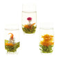 Lwxljmjzc-12 Unique Varieties Blooming Green Tea Ball | Jasmine Flowering Tea | Individual Pack With Flowers-Gifts For Tea Lover