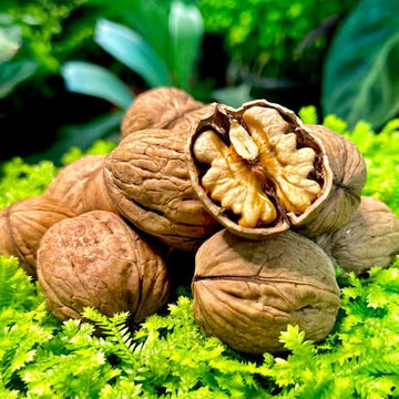Walnuts In-shell (Whole) | California Grown (5) Lbs Pounds