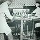 Oberto Smoked Sausages, Cocktail Pep, 12 Ounce, Model 1495