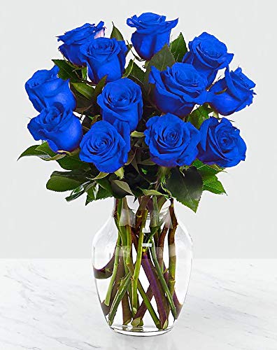 Farm Direct Sweet Rainbow Roses | 24 Fresh Rose Bouquet + Vase Included - Fresh Flowers Roses. Mothers Day Gift