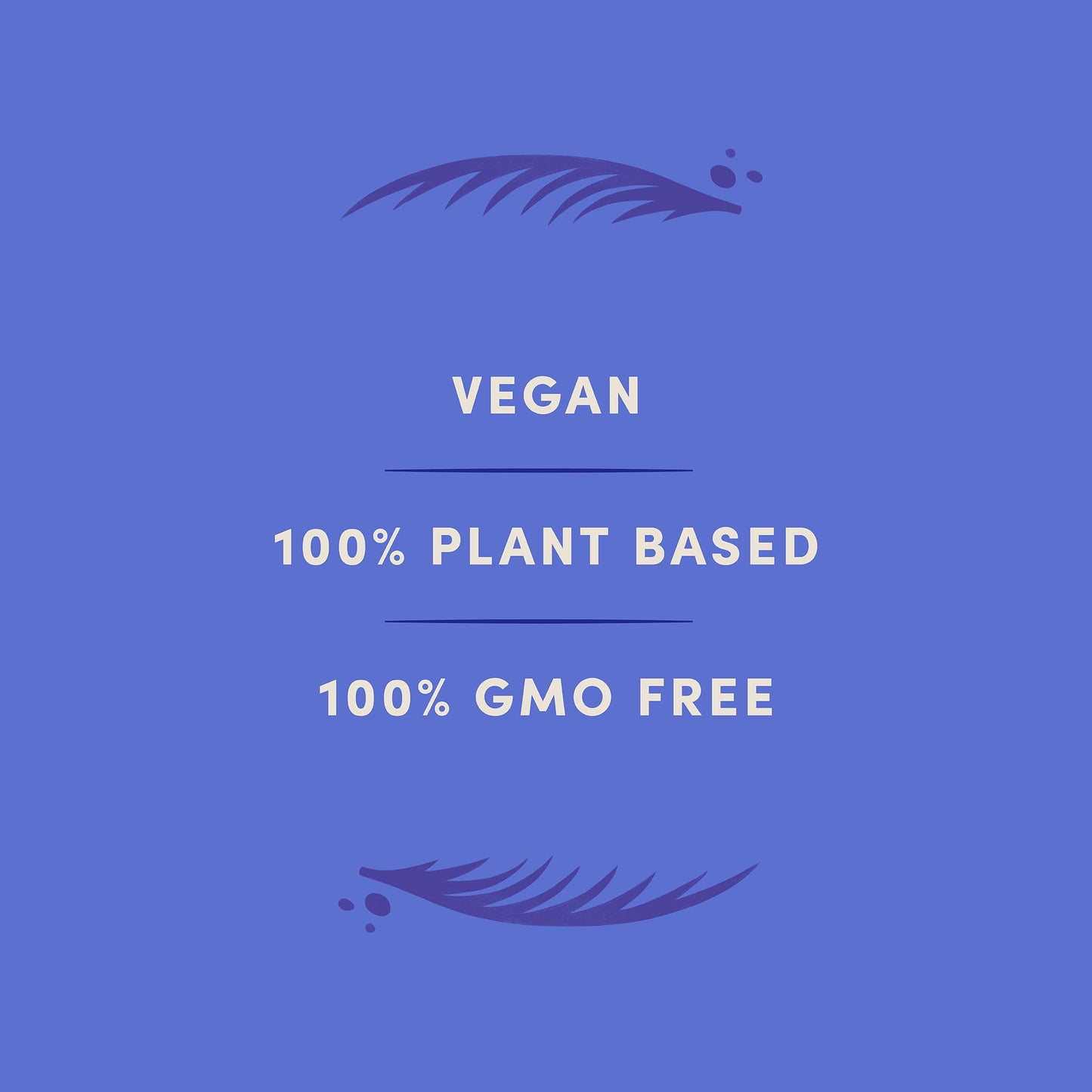 Lovo Coconutmilk Chocolate, 100% Plant-Based, Vegan, Non-Gmo, Gluten-Free, Swiss-Made. 2.82 Oz (Pack Of 4)