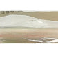 365 by Whole Foods Market, Pizza Crusts Rustic White 7 Inch Organic 2 Count, 3.5 Ounce