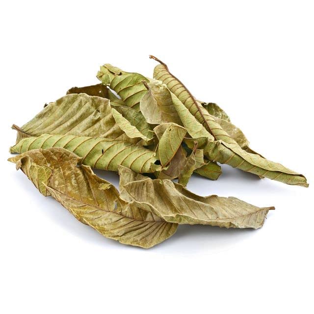 Yerbero - Hoja De Guayaba Entera (.75 Oz - 22Gr) Whole Dried Guava Leaf, Organic Whole Leaf, Skin Care - Hair Re-Growth | 100% A