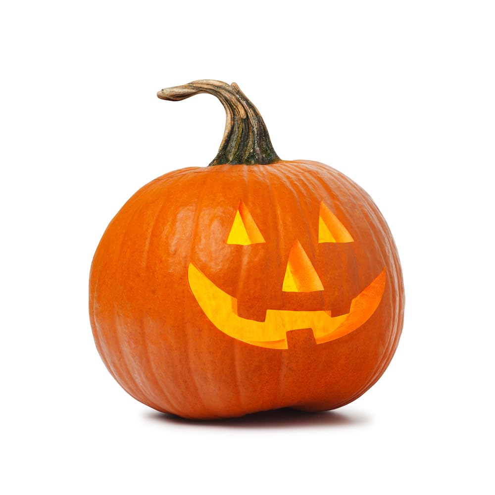 OLIVENATION Pumpkin Pie Natural Flavor - Spiced Flavoring for Baking & Beverages - Sugar Free - Vegan - 8 Fl Oz