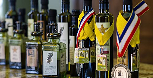 Texas Hill Country Olive Co Jalapeno Infused Olive Oil, Cold Pressed Gourmet, 8.5 oz (2 Pack)