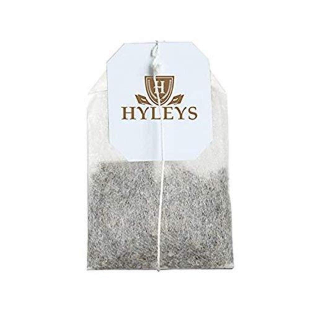 HYLEYS Tea Gymnema Sylvestre with Green Tea, Blackberry Flavor, 25 Tea Bags, Herbal dietary product, Model 84049