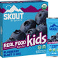 Skout Organic Blueberry Blast Real Food Bars For Kids (6 Pack) | Organic Snacks For Kids | Plant-Based Nutrition, No Refined Sug