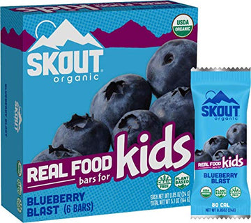 Skout Organic Blueberry Blast Real Food Bars For Kids (6 Pack) | Organic Snacks For Kids | Plant-Based Nutrition, No Refined Sug