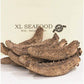 XLSEAFOOD Premium Grade Dried Alaska Sea Cucumber Size Small 16-22 pcs per pack 0.5 lb ??? 6??? ????????? ??16-22?/?? (SMALL)