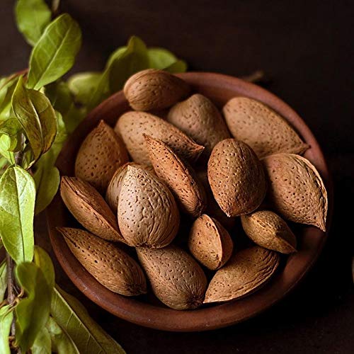 Anna and Sarah Almonds In Shell, Raw, Natural, Whole, Jumbo California Almonds, in Resealable Bag, 4 Lbs