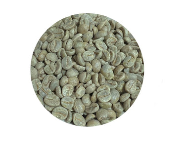 Roastika - Premium Green Coffee Bean - Brazil Cerrado - Unroasted - 20lb - Single Origin
