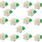 OCREME Swirl Royal Icing Sugar Flower Decorations Set of 15, 1 Inch, White, Model OCRIF-36