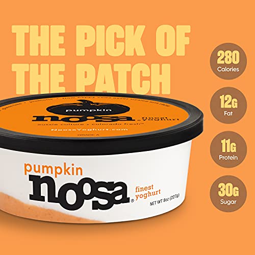 Noosa Yoghurt, Pumpkin, Whole Milk Yogurt, Grade-A Pasteurized, Gluten Free, Probiotic, 8 Ounce