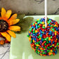 Chocolate Covered Sunflower Seeds Multicolored Candy Coated Treats - Rainbow Party Favors - Sweet and Crunchy Topping - Pack of