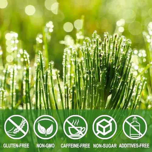 Jarteela Horsetail Tea Bag - Premium Dried Herbs - Non-GMO - Caffeine-free - 36 Count