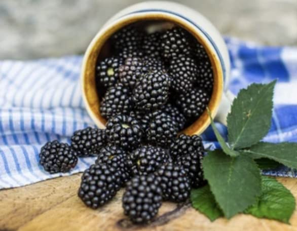 Tennessee'S Best Old Fashioned Boysenberry Jam | Handcrafted With Simple Ingredients | Small Batch Made | 18 Oz Reseable Glass J
