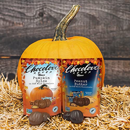 CHOCOLOVE Dark Chocolate Peanut Butter Bites  7.05 OZ