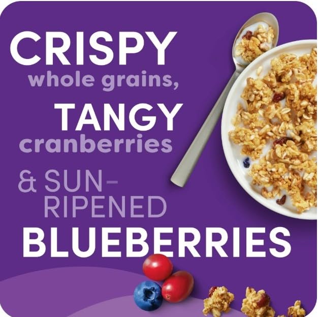 Generic Kashi Go.Cold Breakfast Cereal - Vegan Protein - Fiber Cereal - Toasted Berry Crisp - 14 Oz Box (2 Boxes)