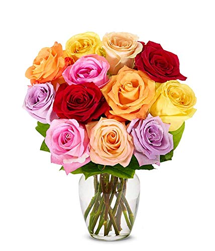 From You Flowers - One Dozen Rainbow Roses with Glass Vase | Fresh Flower Bouquets for Birthday  Anniversary  Get Well or Celebration