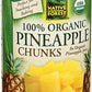Native Forest Pineapple Chunks In Pineapple Juice, 14 Oz