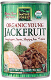 Native Forest Organic Vegan Meat Substitute Young Jackfruit 14 Ounce (Pack of 24)