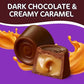 Rolo Dark Chocolate Candy with Caramel Inside - 1.5 Pound Approx 110 Pieces- Individually Wrapped Dark Chocolate for Halloween Candy  Bulk Chocolate Candy  Purple Candy for Party - Perfect Fall Candy Treat