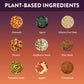Protein Puck Plant Based Bars - Vegan Protein Snacks, Gluten Free, 2.25 oz Single Serve, 16 Count, Kosher Certified