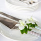 Miami Fresh Orchid Loose Bloom Perishable Flowers Orchidclub Usa Sunne Tropical Diy Lei, Food & Drink Decoration (100 White)