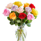 From You Flowers - One Dozen Rainbow Roses with Glass Vase | Fresh Flower Bouquets for Birthday  Anniversary  Get Well or Celebration