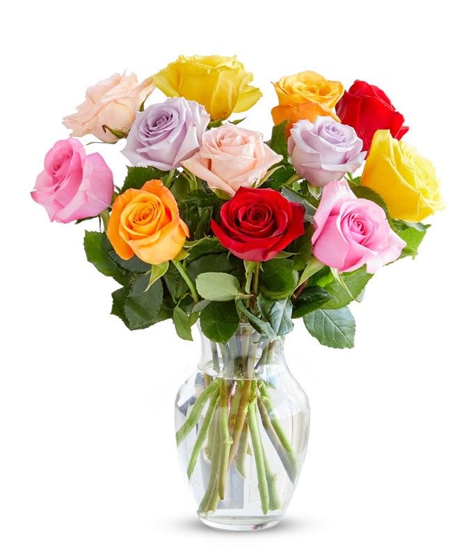 From You Flowers - One Dozen Rainbow Roses with Glass Vase | Fresh Flower Bouquets for Birthday  Anniversary  Get Well or Celebration