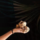 La Rustichella - White Truffle Patè 3.17 Oz (90 Gr) - 100% Made In Italy | Vegan, Gluten-Free, Cholesterol-Free