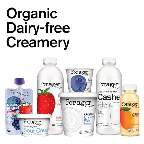 Forager Project, Organic Dairy-Free Strawberry Probiotic Drinkable Cashewmilk Yogurt, 8 Ounce