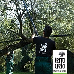 Terra Creta, 100% Koroneiki Variety, Estate Greek Extra Virgin Olive Oil, 3 Ltr (101 Fl.oz) Tin