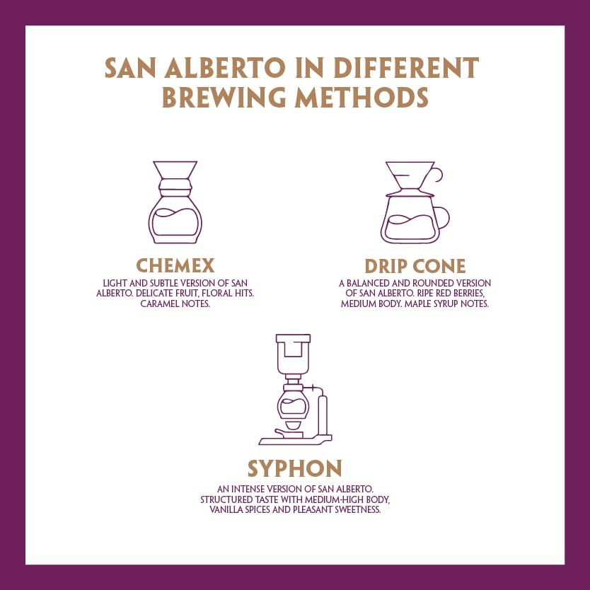 CAFÉ SAN ALBERTO Medium Roast Ground Coffee - 12 oz Colombian Arabica with Caramel & Dark Chocolate Notes - Specialty Coffee