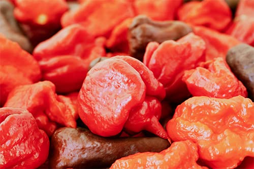 Birch & Meadow Carolina Reaper Chile Powder, 8 Oz, Extremely Hot, Over 700,000 Shu
