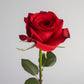 GlobalRose 100 Red Roses Bouquet - Responsibly Sourced Roses Fresh Flowers - Hand-Picked Flowers Fresh Bouquet for Mothers Day  Birthday & Special Occasions (4 Bunches of 25 Stems)