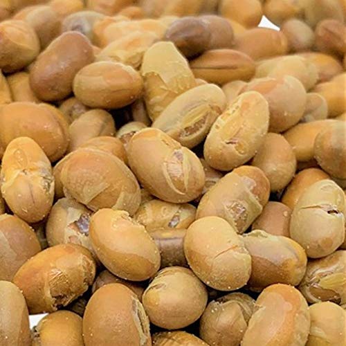 Soy Nuts Roasted Salted Soy Beans by It's Delish, With Sea Salt, 2 lbs Bulk | Healthy Protein Filled & Crunchy Snack - Soybean N