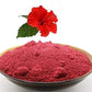 Herbs Botanica Organic Hibiscus Flowers Powder Hibiscus Sabdariffa Pure Naturally Processed For Hair And Skin Non Gmo Gluten Fre