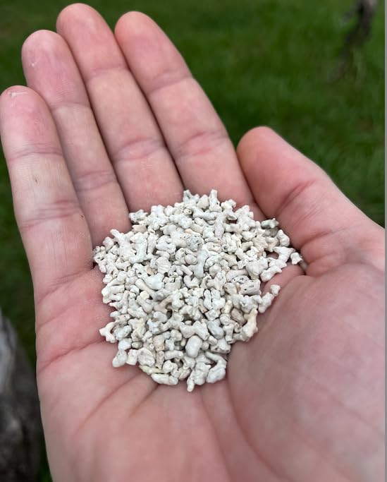 LitChicks Calcified Seaweed for Laying Chickens - Crushed Oyster Shell Alternative - Highly Digestible - Single Ingredient - Hel