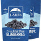 Thousand Lakes Freeze Dried Fruit - Blueberries 2-pack 1.2 ounces (2.4 ounces total) | No Sugar Added | 100% Whole Blueberries