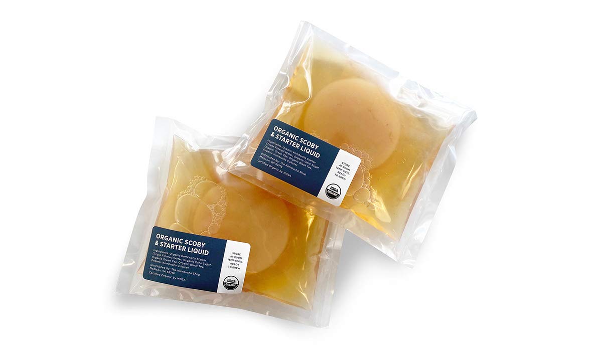 Organic Scoby 2-Pack | Kombucha Starter Kit With Live Culture For Brewing Kombucha Tea - Urban Kitchen